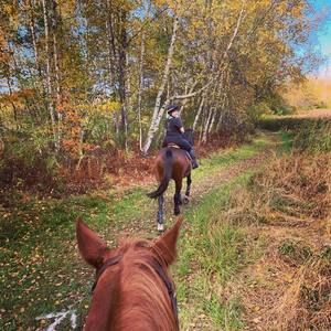 Meet your Posher, Kaitlyn